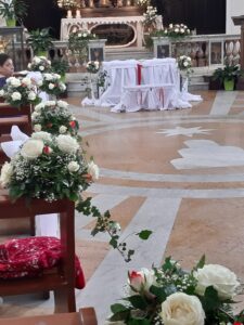 Collezione Foglie e Fiori