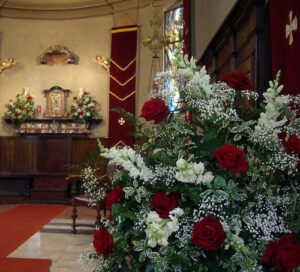 Collezione Foglie e Fiori