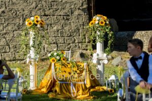 Collezione Foglie e Fiori