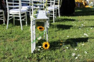 Collezione Foglie e Fiori