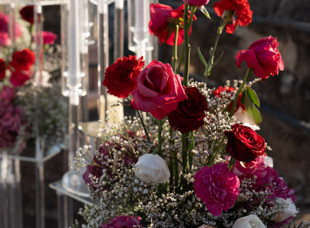 Collezione Foglie e Fiori