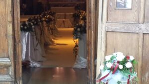 Collezione Foglie e Fiori