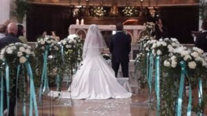 Collezione Foglie e Fiori