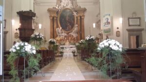 Collezione Foglie e Fiori