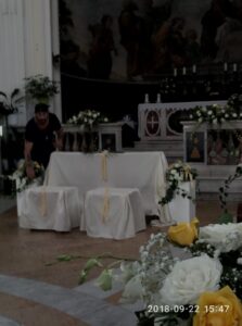 Collezione Foglie e Fiori