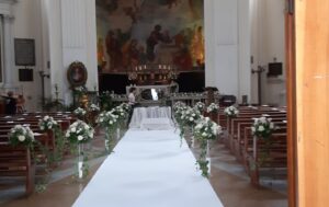 Collezione Foglie e Fiori