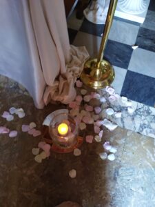 Collezione Foglie e Fiori