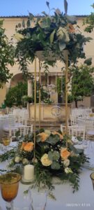 Collezione Foglie e Fiori