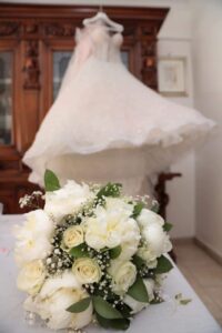 Collezione Foglie e Fiori