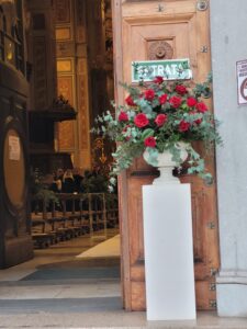 Collezione Foglie e Fiori