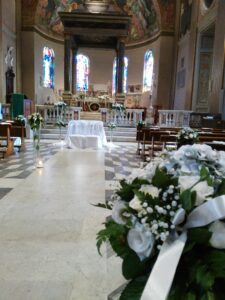 Collezione Foglie e Fiori