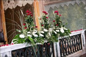 Collezione Foglie e Fiori
