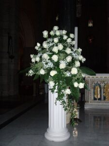 Collezione Foglie e Fiori